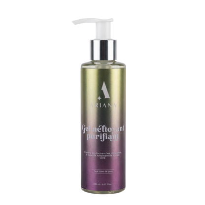 Gel Nettoyant Purifiant Visage – Niacinamide & Aloe Vera (200ml)